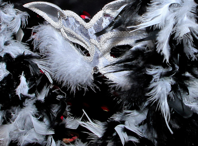 Mask and feathers